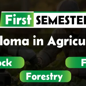 1st Semester→ Agriculture + Livestock + Fisheries + Forestry