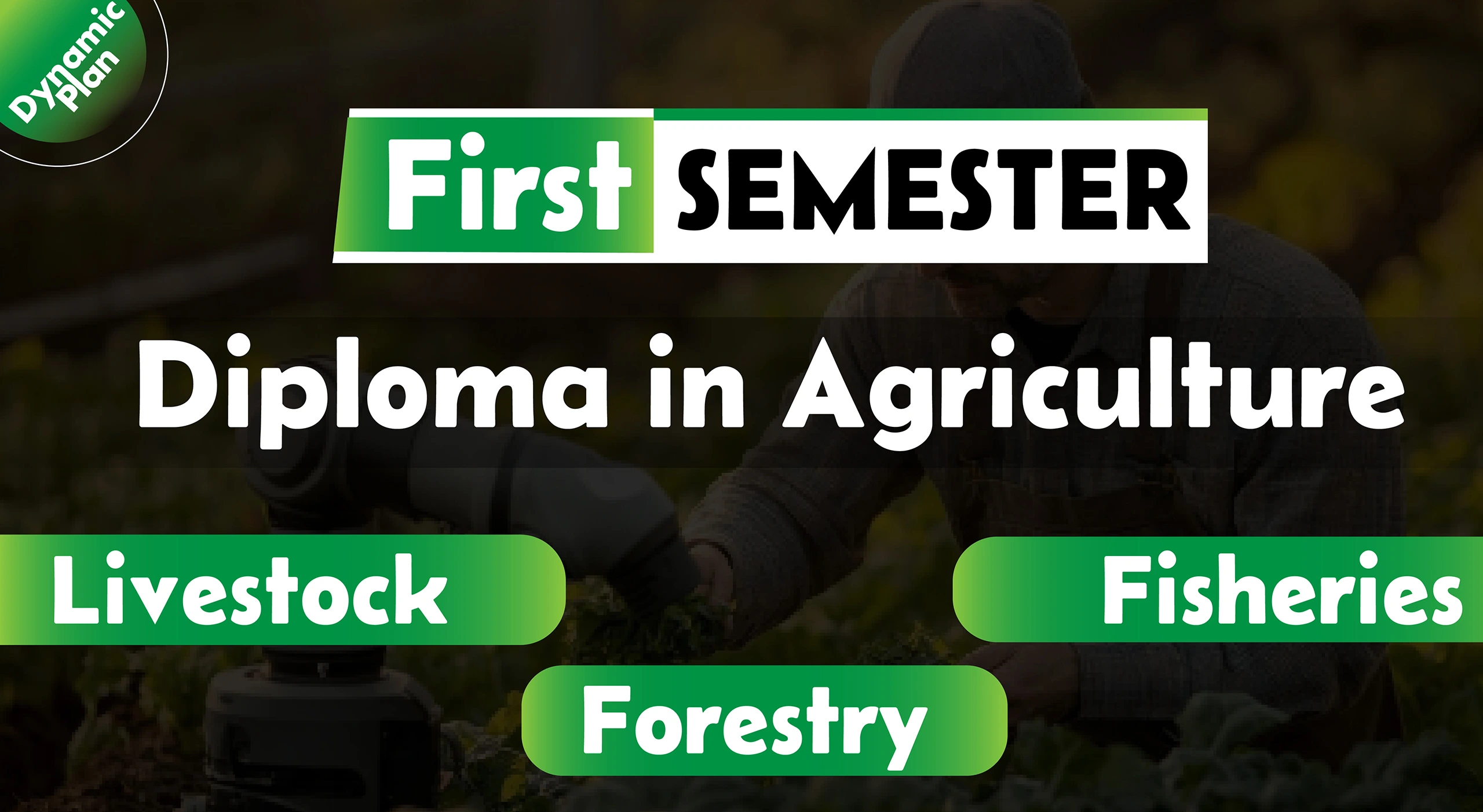 1st Semester→ Agriculture + Livestock + Fisheries + Forestry
